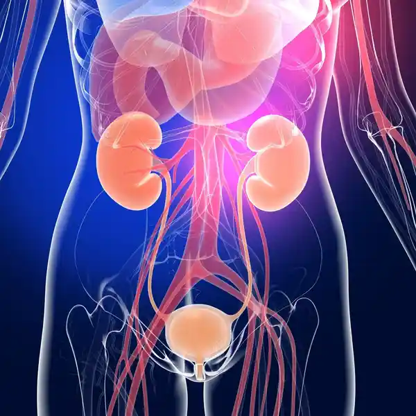 Expert Consultant Urological Surgeon